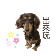 臘腸狗之布丁小王子