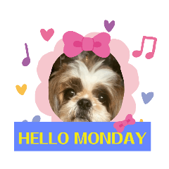 cream_20210414161257