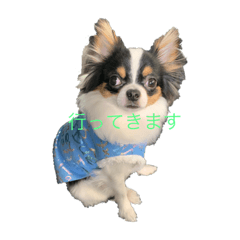 yuka_20210415121050