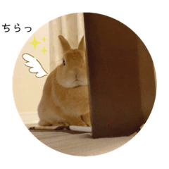 arisa_20210415145455