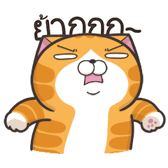 เหมียวซ่า : เงียบไม่เป็น