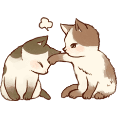 Kitten Daily Animation Sticker Line Stickers Line Store