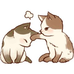 Kitten daily animation sticker