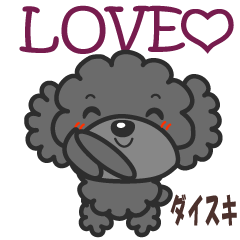Gray toy poodle LOVE