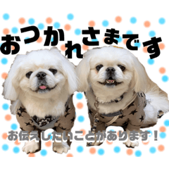 MIZUKI_20210415145542