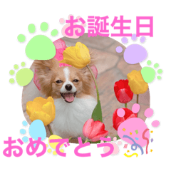 yukari_20210415183131