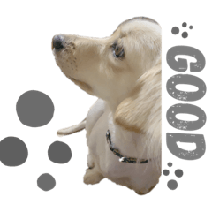 cream_20210415204144