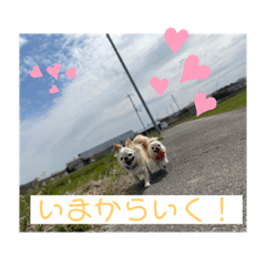 rina_20210415210728
