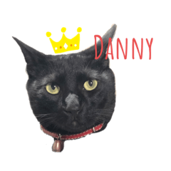 Danp_20210415194439