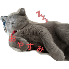 saya_20210415214043