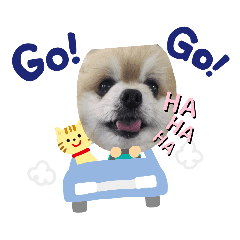 ポメラニアンのかく丸 Line スタンプ Line Store ポメラニアンのかく丸 Line スタンプ Line Store