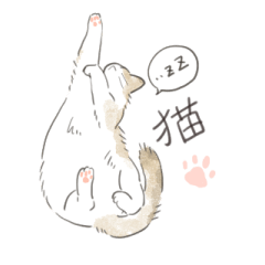 cute cat - Sticker