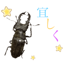 昆虫 Lineクリエイターズスタンプまとめ Stamplist 昆虫 Lineクリエイターズスタンプまとめ Stamplist