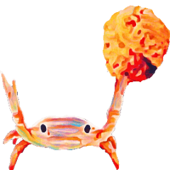 Crab sticker kany