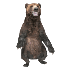 Grizzly Bear for Chat II
