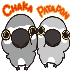 CHAKA & PATAPON(Psittacus erithacus)