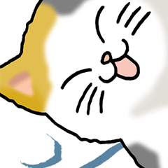 Cat and kanji(BIG)Part1