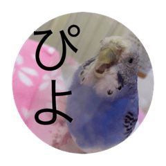 Emily_20210416121033