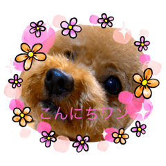chie_20210416115657