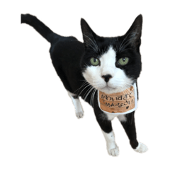 natsumi_20210416133310