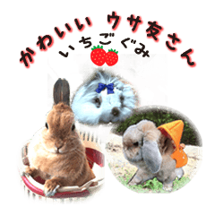 Cute bunny friend "Strawberry group"