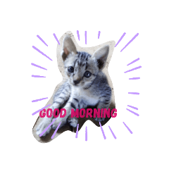 king_20210415175416