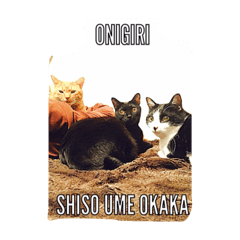UME.SHISO.OKAKA
