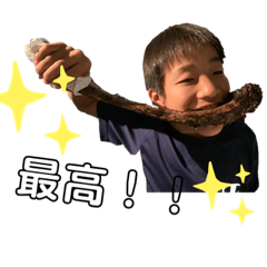 こうせいのやつ