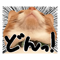 MICHIKO_20210416205222