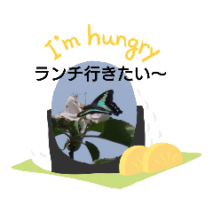 hana_20210417073342