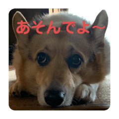 yun_20210416182803