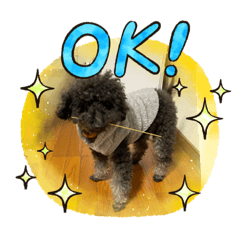 Kaito_20210416220104