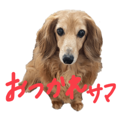hana_20210416224421