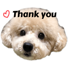 Natsumi_20210417003044