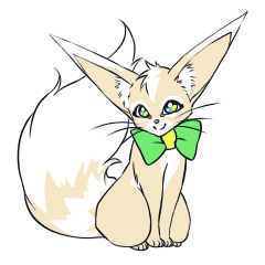 Ferret cat