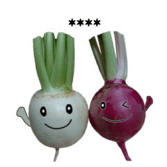 realistic vegetable sticker 2.5