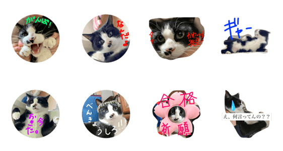 猫たちのかわいいおもしろスタンプ3 Lineクリエイターズスタンプ Stamplist