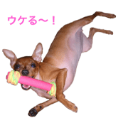 Minpin's Talk 7