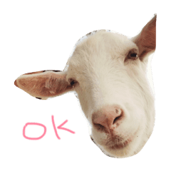 ボービーと愉快な仲間 Line スタンプ Line Store ボービーと愉快な仲間 Line スタンプ Line Store