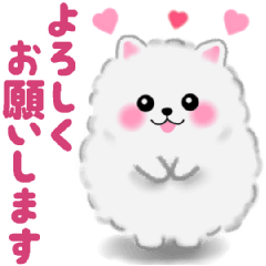 cute white Pomeranian animation