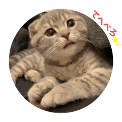 Saori_20210417114701