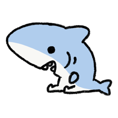 cute Shark pretty