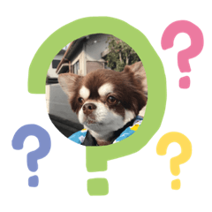 mizuki_20210417154420