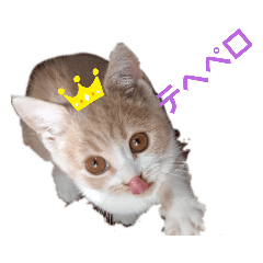 leoleo smile