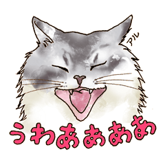 All cat Sticker"nekoto_"