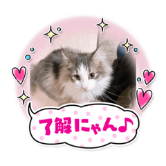 risa_20210417160145
