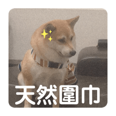 Mia專屬