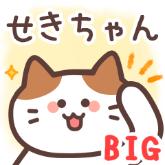 せきちゃん専用♪毎日使えるBIGスタンプ - LINE スタンプ | LINE