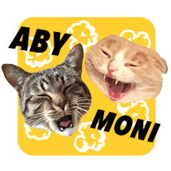 ABBEY & MONICA 's CAT Stickers 2