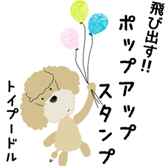 For TOYPOODLE LOVERS * POPUP *